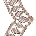 2912202222258_8639-dup-fileminimizer