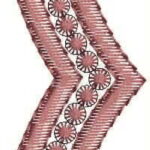 3105202232828_3028pallu-2-fileminimizer